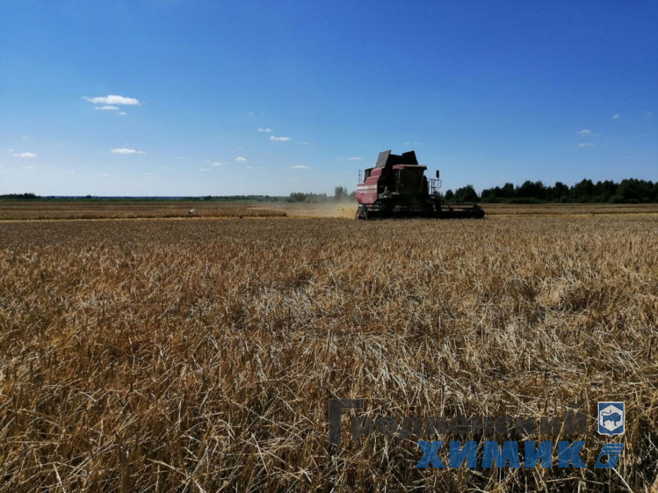 photo_2022-08-04_12-55-27 (2).jpg